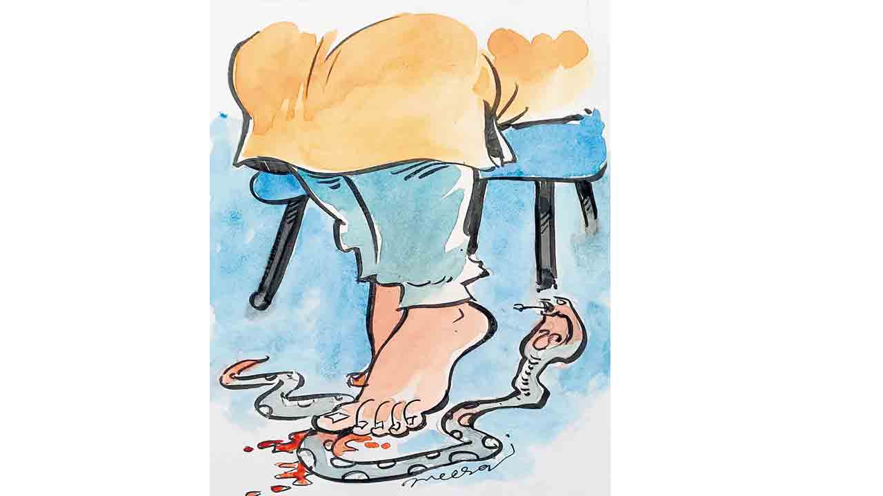 చార్యపాము చావలే!