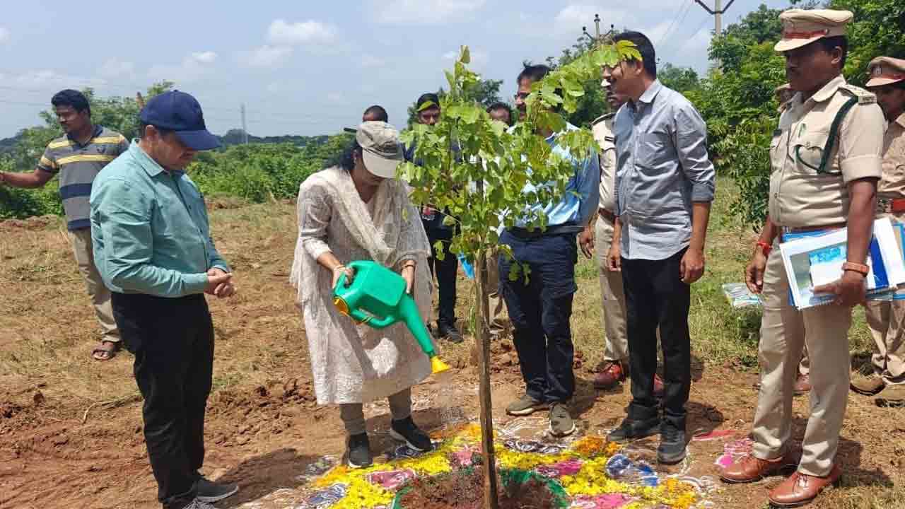 నియోజకవర్గానికే తలమానికంగా నేచర్‌ పార్కు