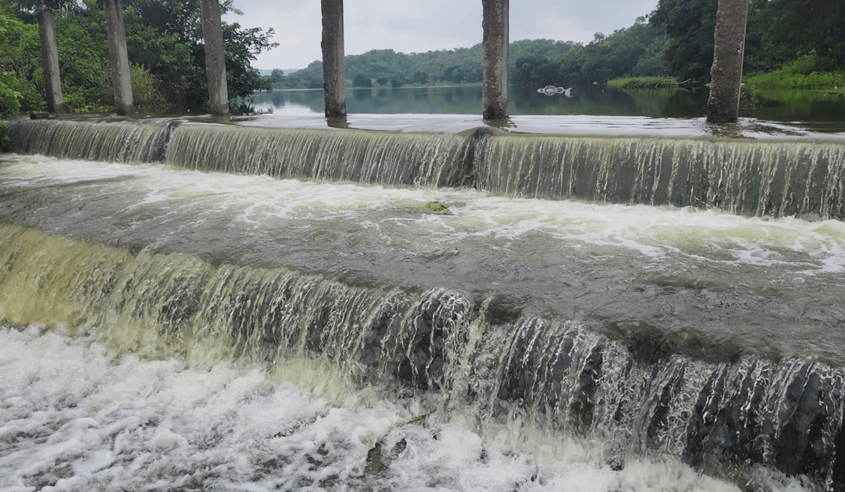 Rudrangi | రుద్రంగి మండలంలో మత్తడి దాటిన గోలపులొద్ది చెరువు