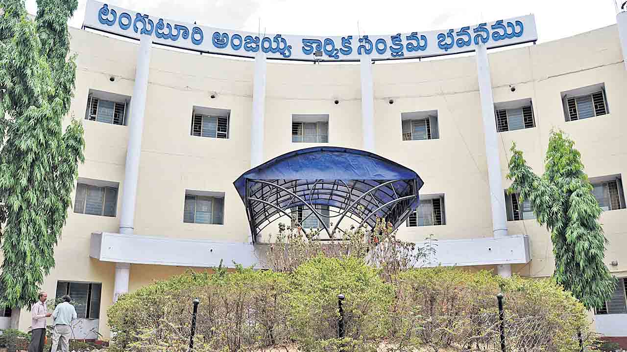 పెద్దలకు సంచులు.. కంపెనీలకు ‘బీమా’ డబ్బులు!