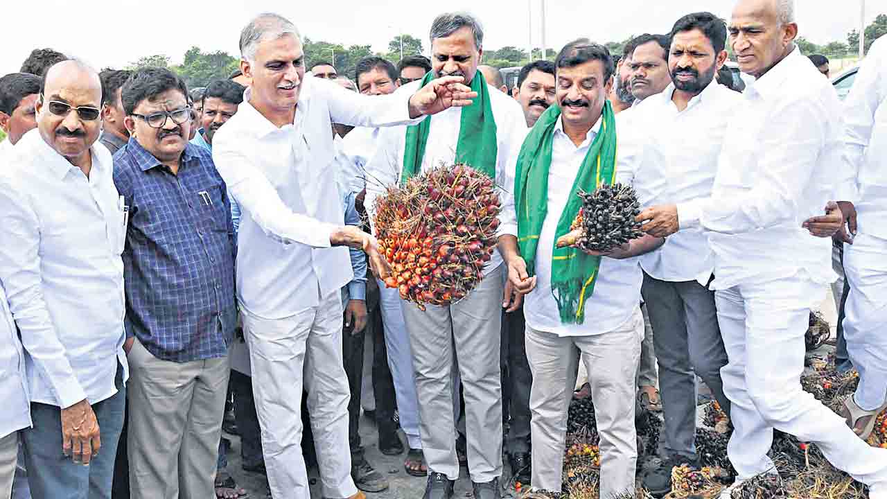 పామాయిల్‌ ఫ్యాక్టరీ కేసీఆర్‌ కాళేశ్వర ఫలితమే