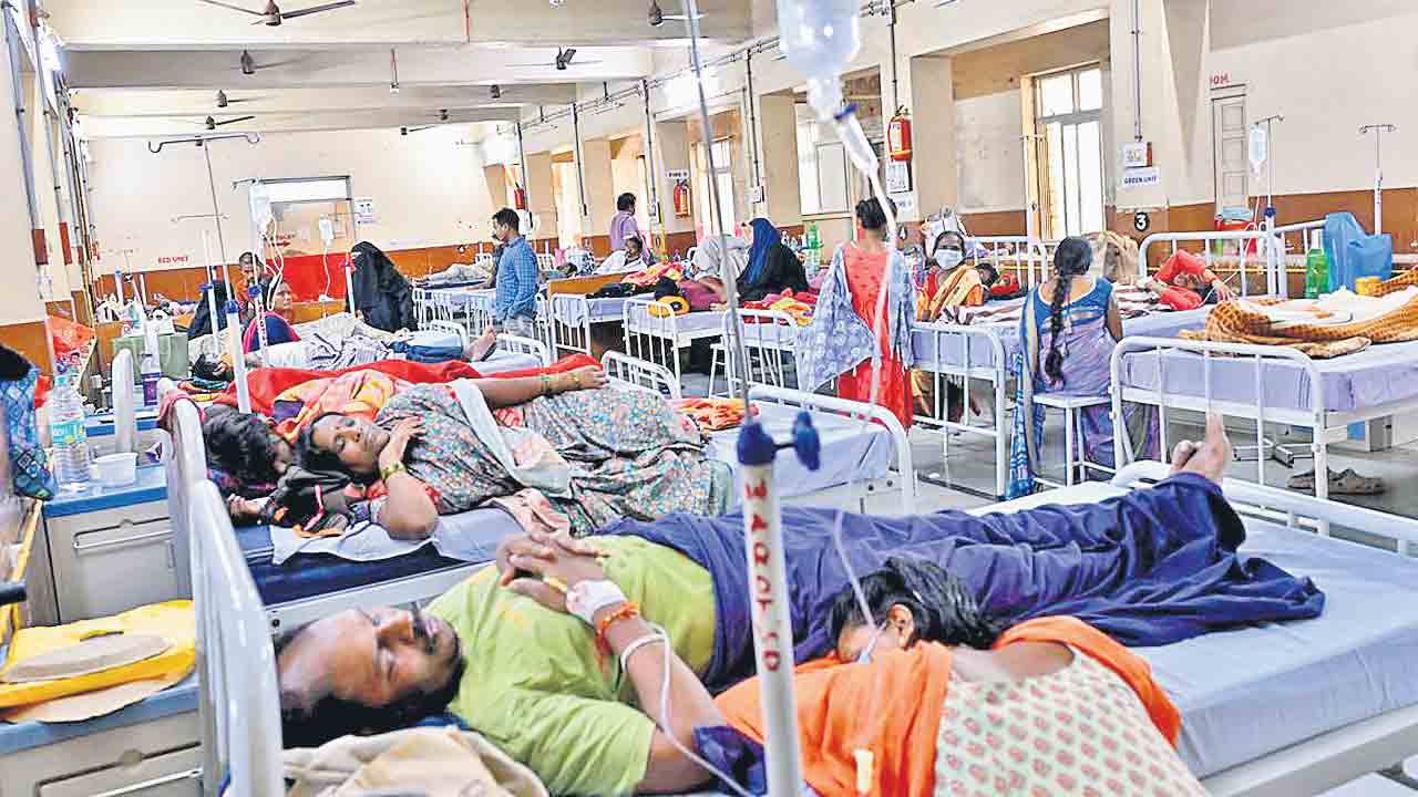 భారీగా ఓపీలు పెరిగినయ్‌!.. రాష్ట్రంలో వేగంగా ప్రబలుతున్న సీజనల్‌ వ్యాధులు