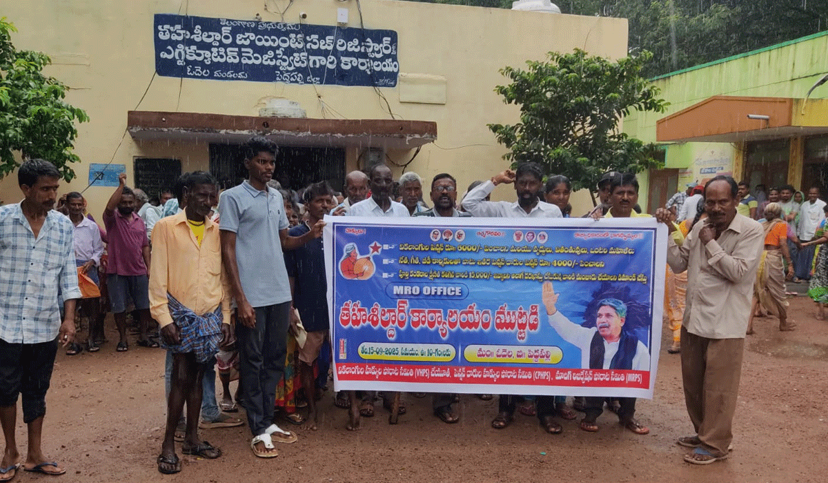 Election promises | ఎన్నికల హామీ మేరకు ఫించన్లు పెంచాలి.. వీహెచ్పీఎస్ డిమాండ్
