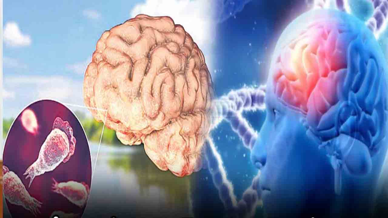 9 నెలల్లో 19 మంది మృతి