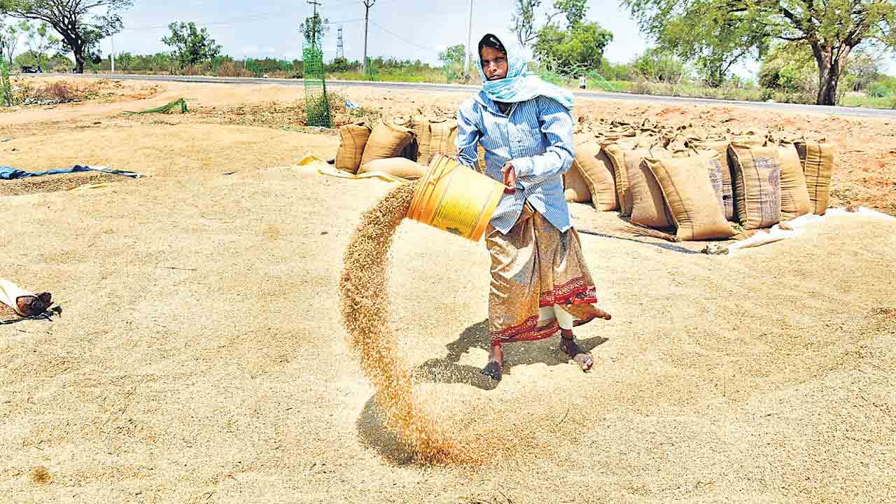 ధాన్యం కొనుగోళ్లపై నేడు సమీక్ష