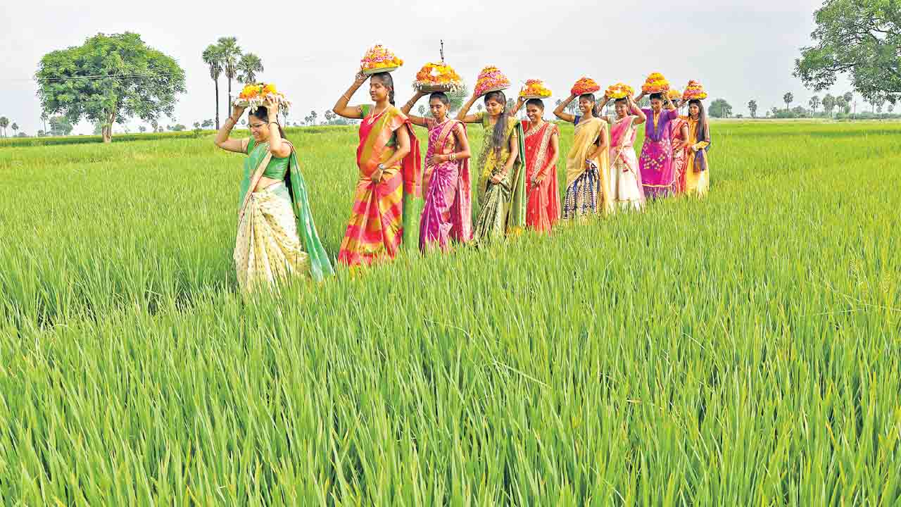 చీర కాదు కదా దారం పోగూ ఇవ్వలే!