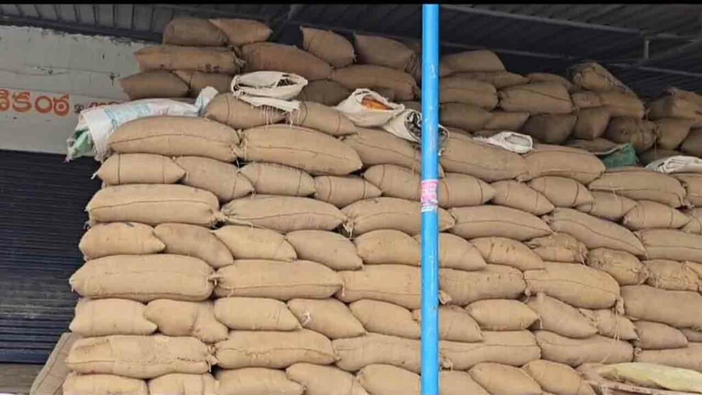 Cmr Paddy Seeds