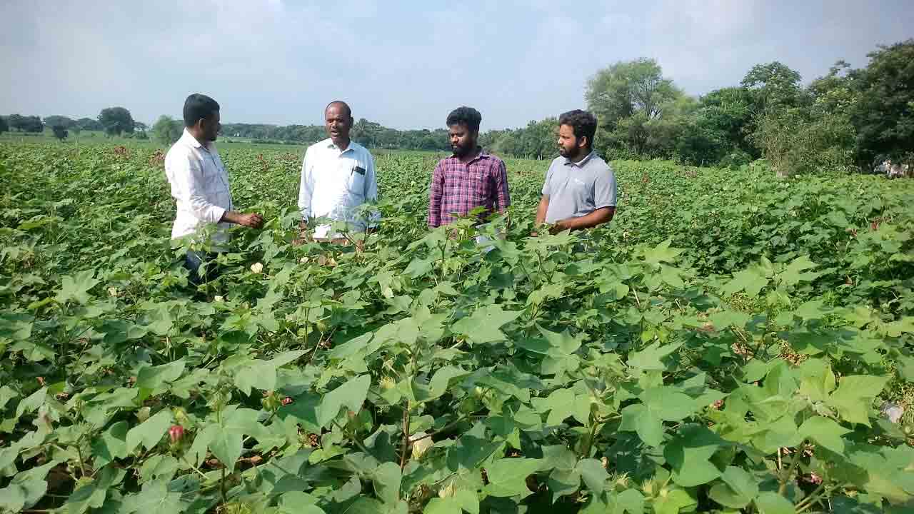 Crop Cultivation | పంట సాగు వివరాలు నమోదు చేసుకోవాలి : ఏవో నరేష్