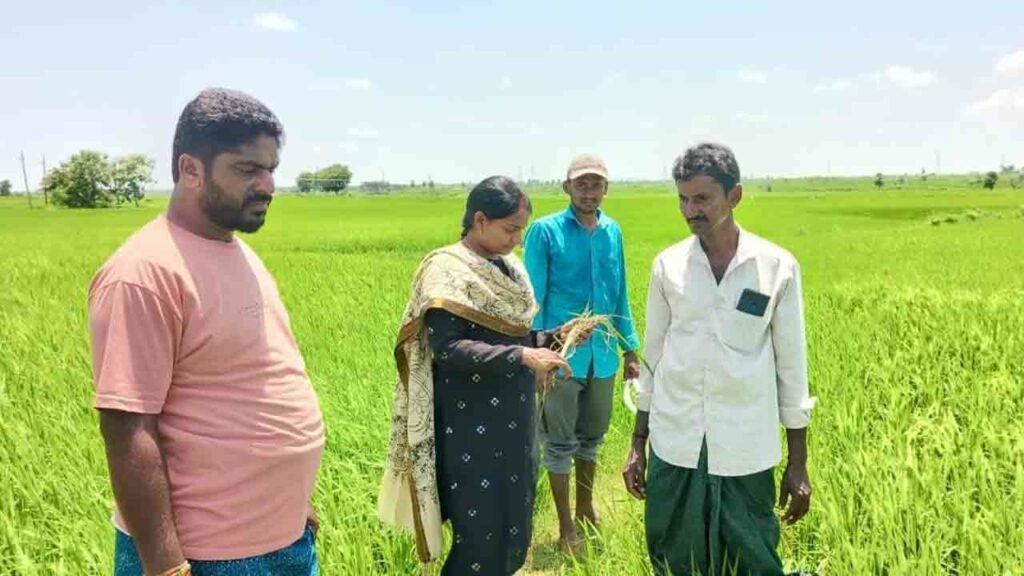 Crops Damage