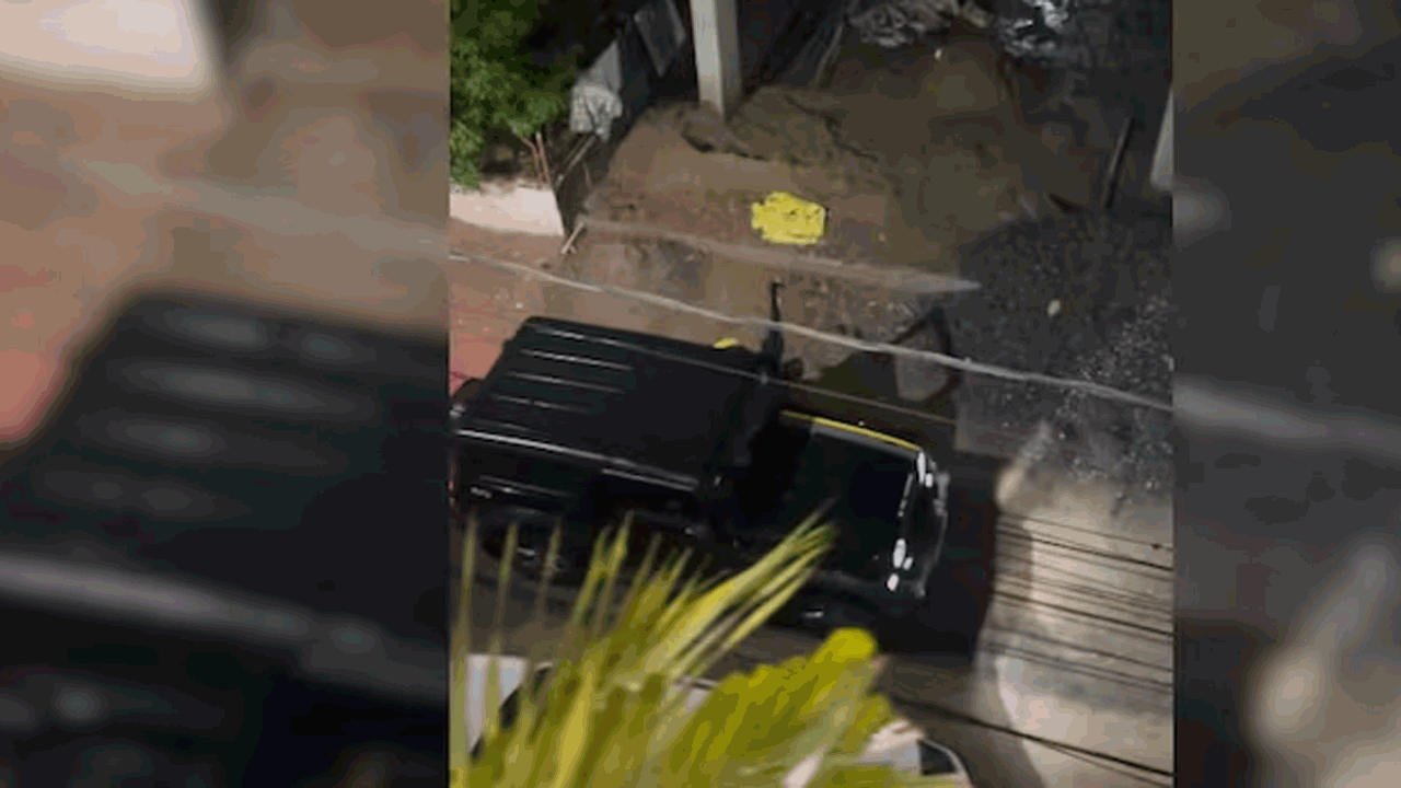 Delivery Agent | థార్‌ కారులో ఎంట్రీ ఇచ్చిన బ్లింకిట్‌ డెలివరీ బాయ్‌.. షాకైన కస్టమర్‌.. VIDEO