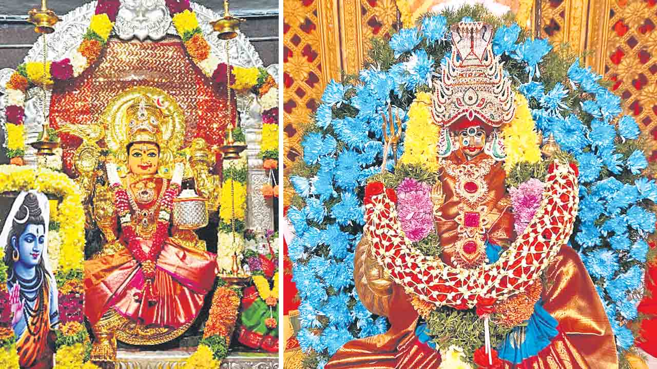 అన్నపూర్ణదేవిగా సరస్వతీమాత