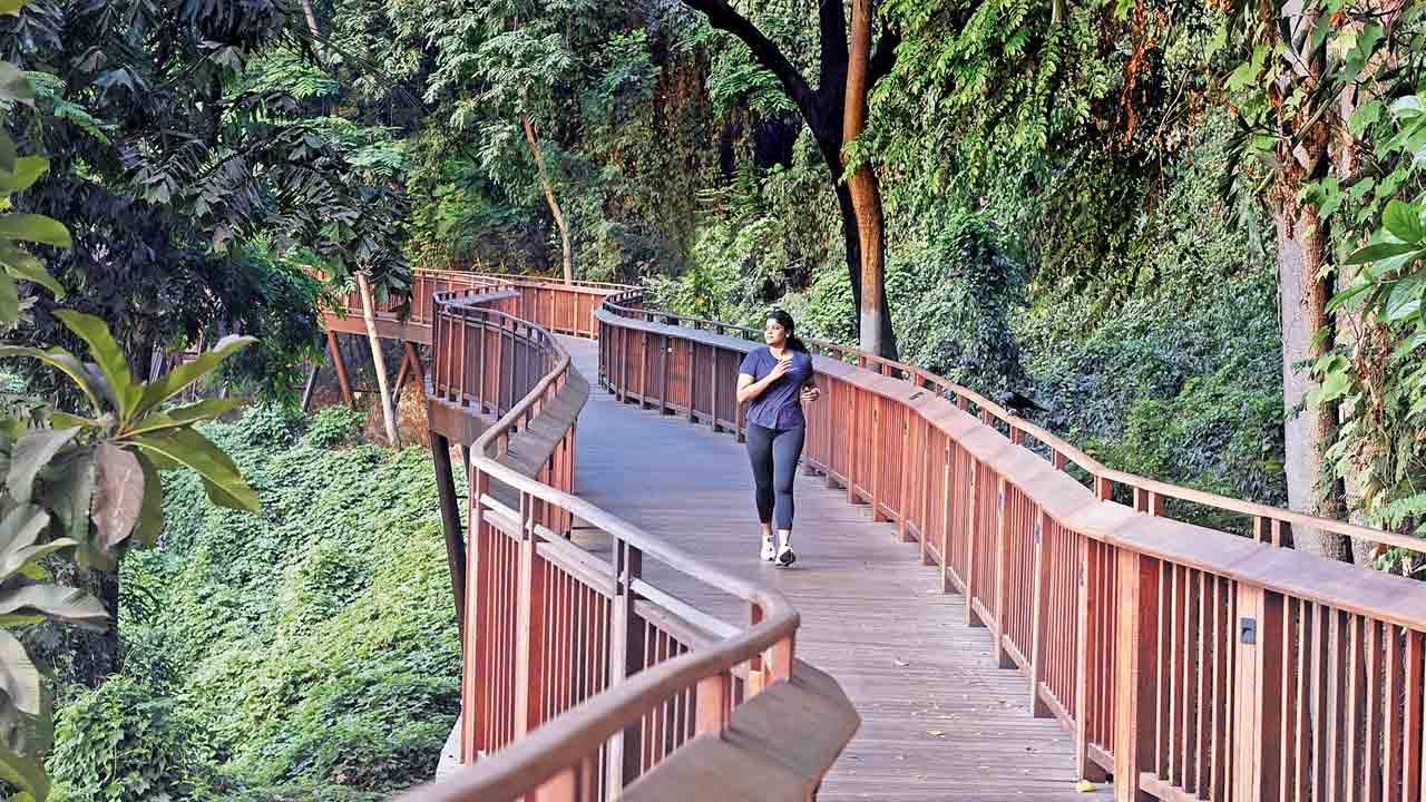 వ్యాయామం.. బహుదూరం!