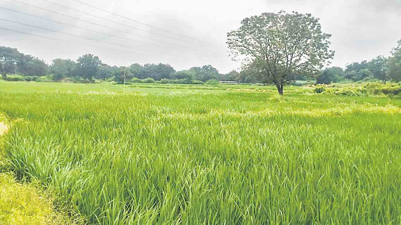 పేదల భూములే టార్గెట్.. బక్కరైతుల భూముల్లోనే ప్రభుత్వ ప్రాజెక్టులు