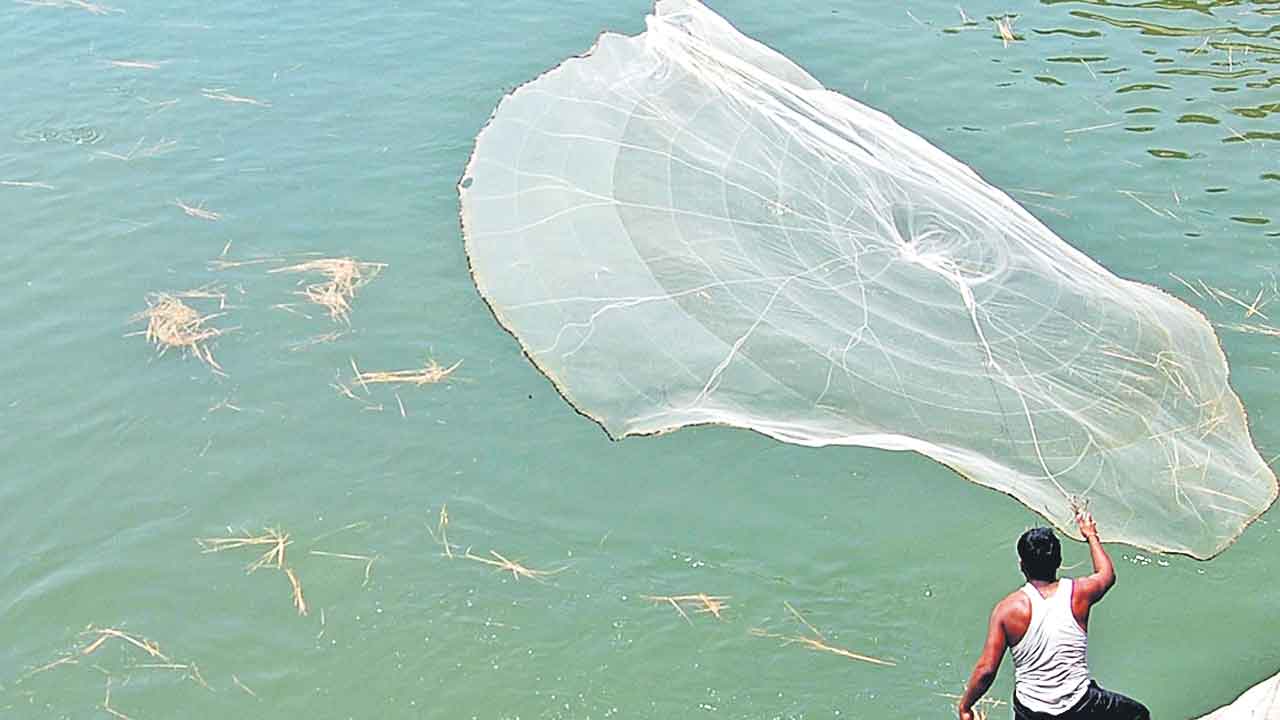 చేపా.. చేపా ఎప్పుడొస్తావ్‌?