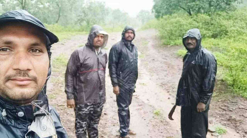 Forest Officials