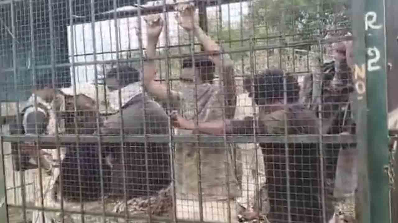 Forest Officials | అటవీ సిబ్బందిని పులికి ఎరగా బోనులో బంధించిన గ్రామస్థులు.. ఎందుకో తెలుసా..?