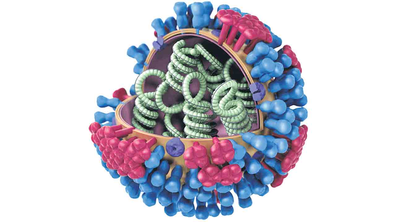 H3n2 Influenza Virus 2