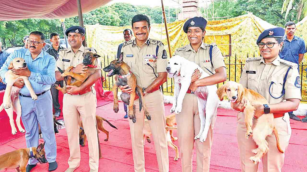 మహిళలు అన్ని రంగాల్లో రాణించాలి