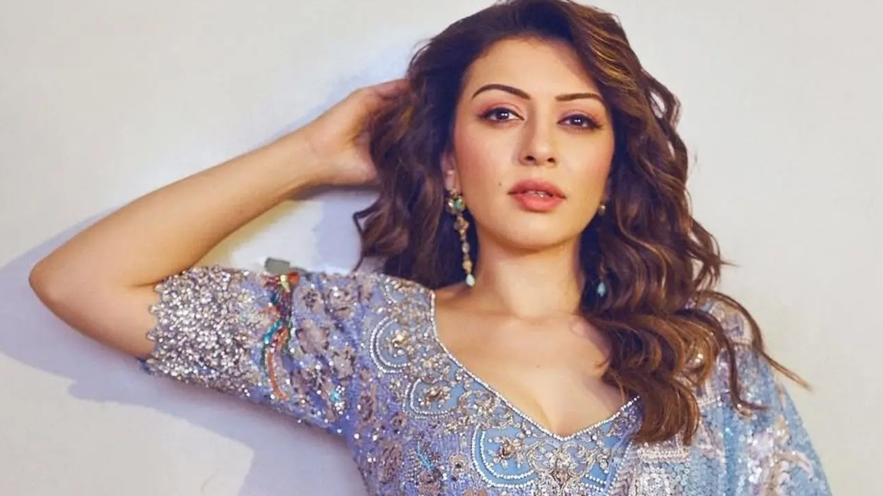 Hansika Motwani | హీరోయిన్ హన్సికకు షాక్ ఇచ్చిన బాంబే హైకోర్టు.. పిటిషన్ను తోసిపుచ్చిన ధర్మాసనం..!