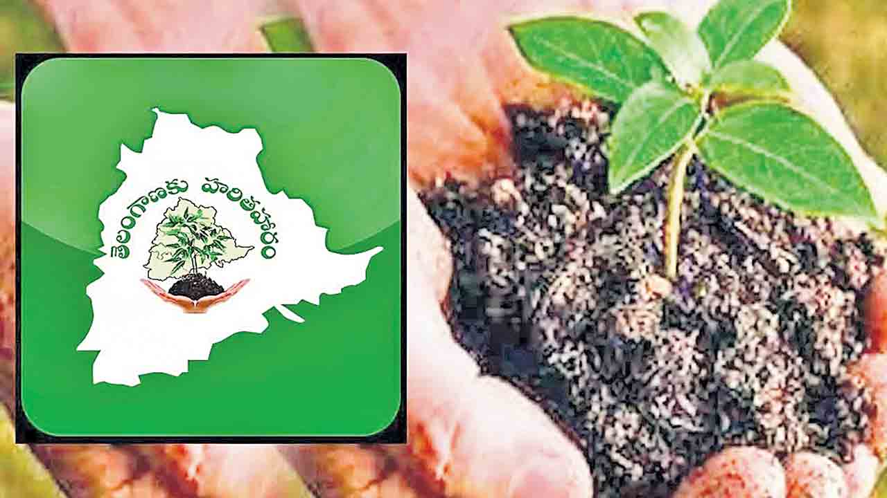 ‘మొక్క’బడిగా వనమహోత్సవం.. సీజన్‌ పూర్తవుతున్నా చేరుకోని లక్ష్యాలు