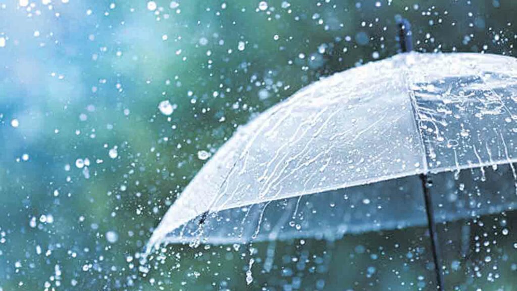 Heavy Rains
