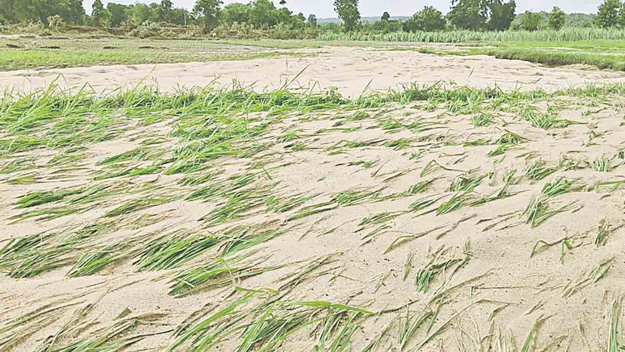 ఇసుక మేటల తొలిగింపు ఎప్పుడో ?