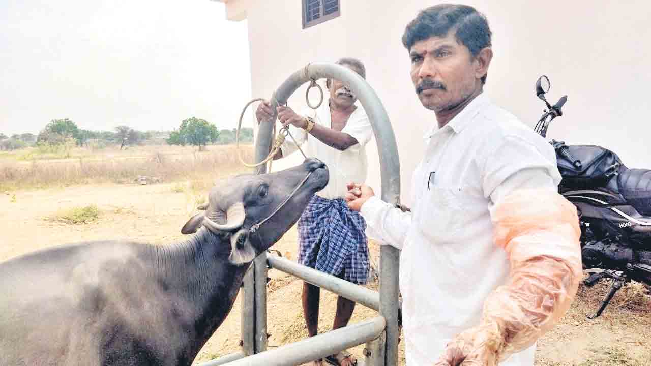 Karimnagar
