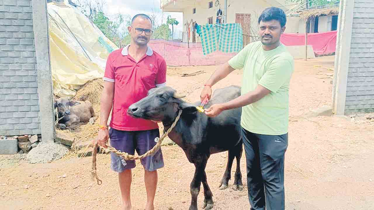 పండుగపూట గోపాలమిత్రల పస్తులు