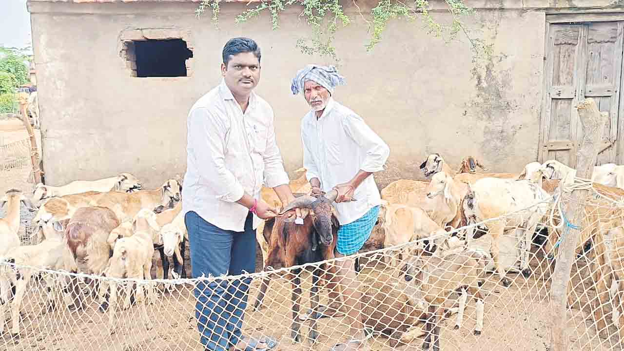 పండుగపూట గోస