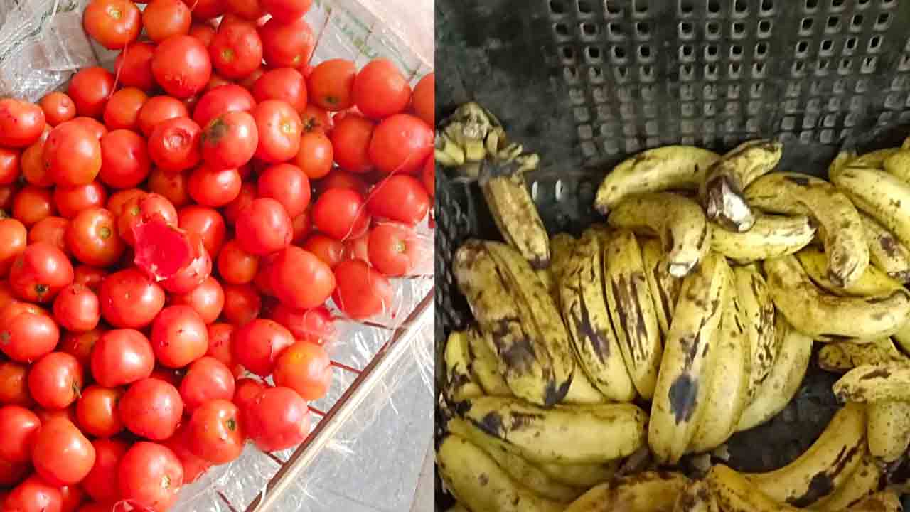 Kasturba Gandhi School | ఎలుకలు కొరికిన టమాటాలు, కుళ్లిన అరటి పండ్లు.. ఇదీ కస్తూర్బా గాంధీ పాఠశాల దుస్థితి