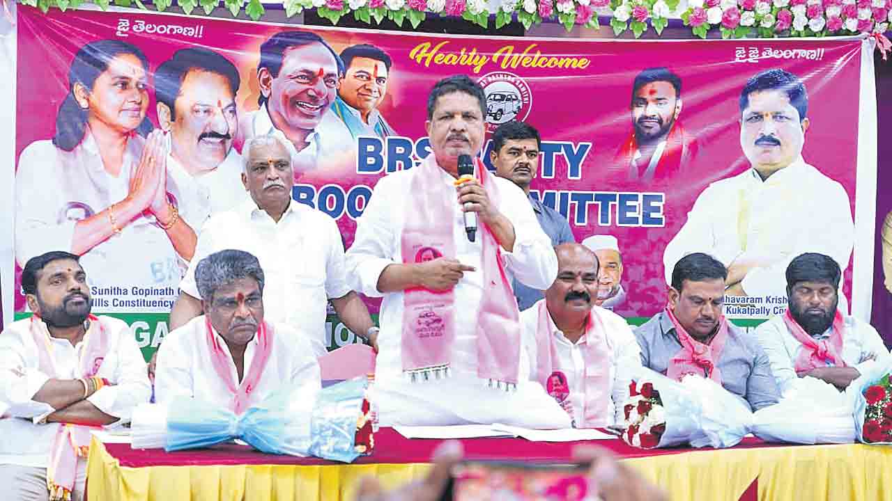 బీఆర్‌ఎస్‌ గెలుపే లక్ష్యంగా పనిచేయండి