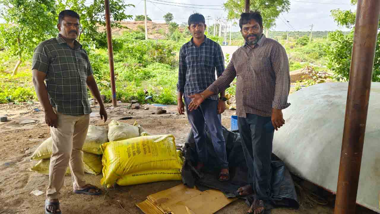 పడరాని పాట్లు