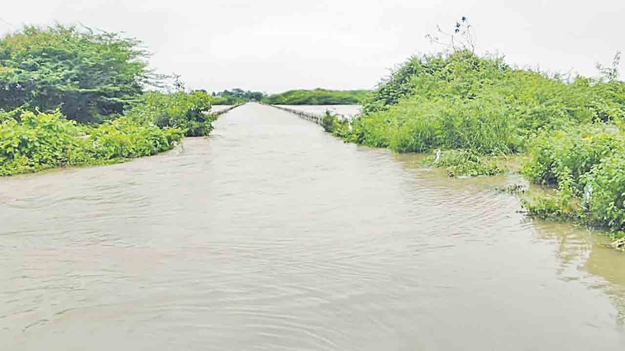 మంజీరాలో ఉరకలెత్తుతున్న వరద