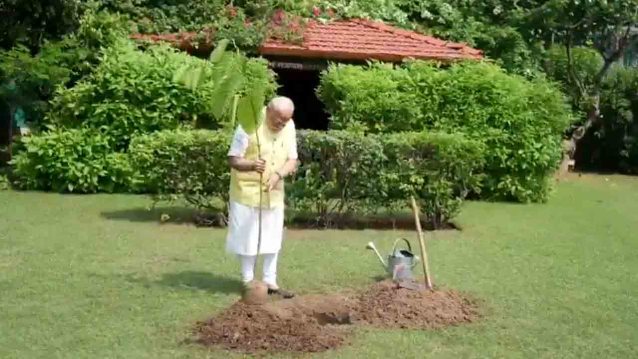 PM Modi | బర్త్డే గిఫ్ట్గా కదంబ చెట్టు.. తన నివాసంలో నాటిన ప్రధాని మోదీ