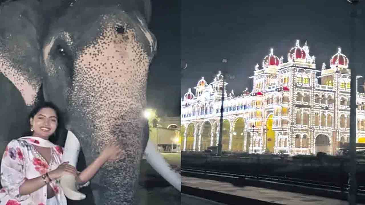 Mysore woman | దసరా ఏనుగులతో యువతి రీల్స్.. కేసు నమోదు చేసిన పోలీసులు