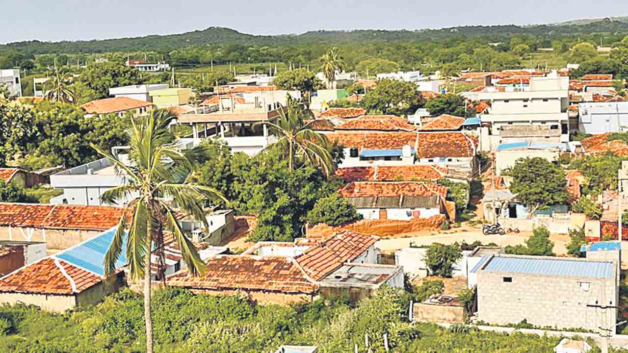 ఇదేం కొర్రీ!