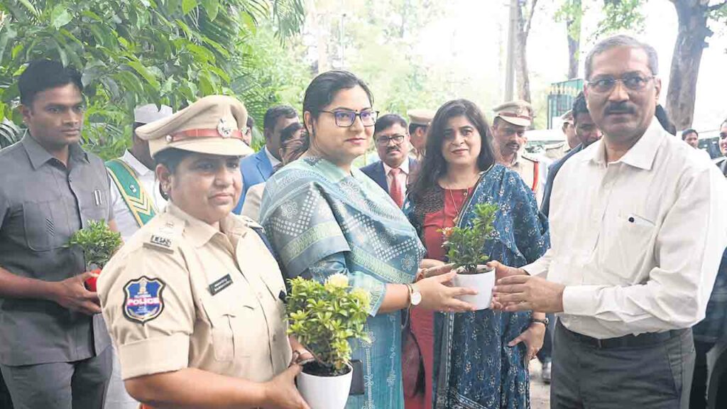 National Lok Adalat, Court