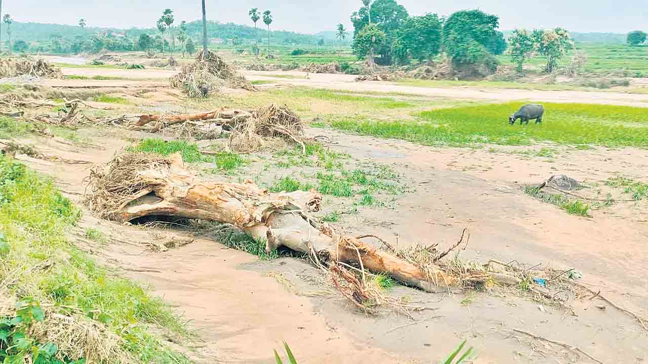 ఇసుక దిబ్బలా బీరప్ప తండా