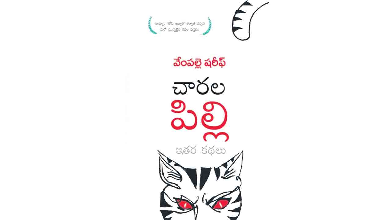 సున్నిత సమస్యలపై నిత్యనూతన దృష్టి