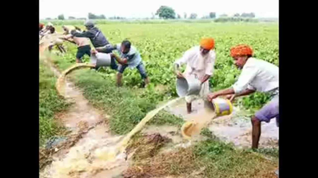 Punjab Fields In Flood