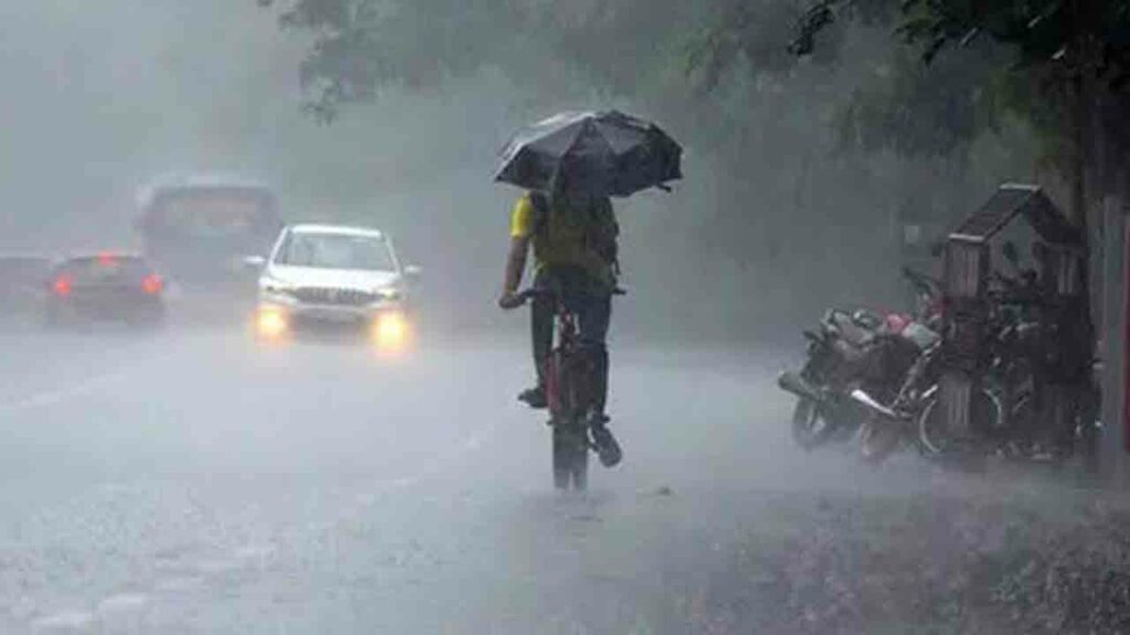 Rains