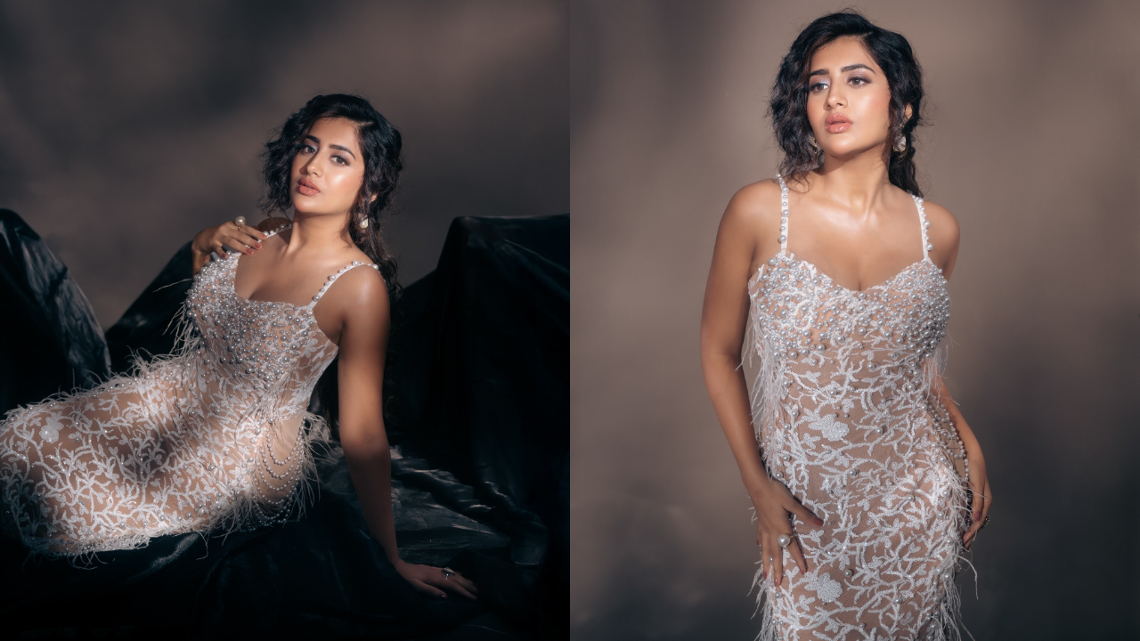 Rashi Singh | వెరైటీ ఫోజుల‌తో రాశి సింగ్ అందాలు.. ఫోటోలు వైర‌ల్‌