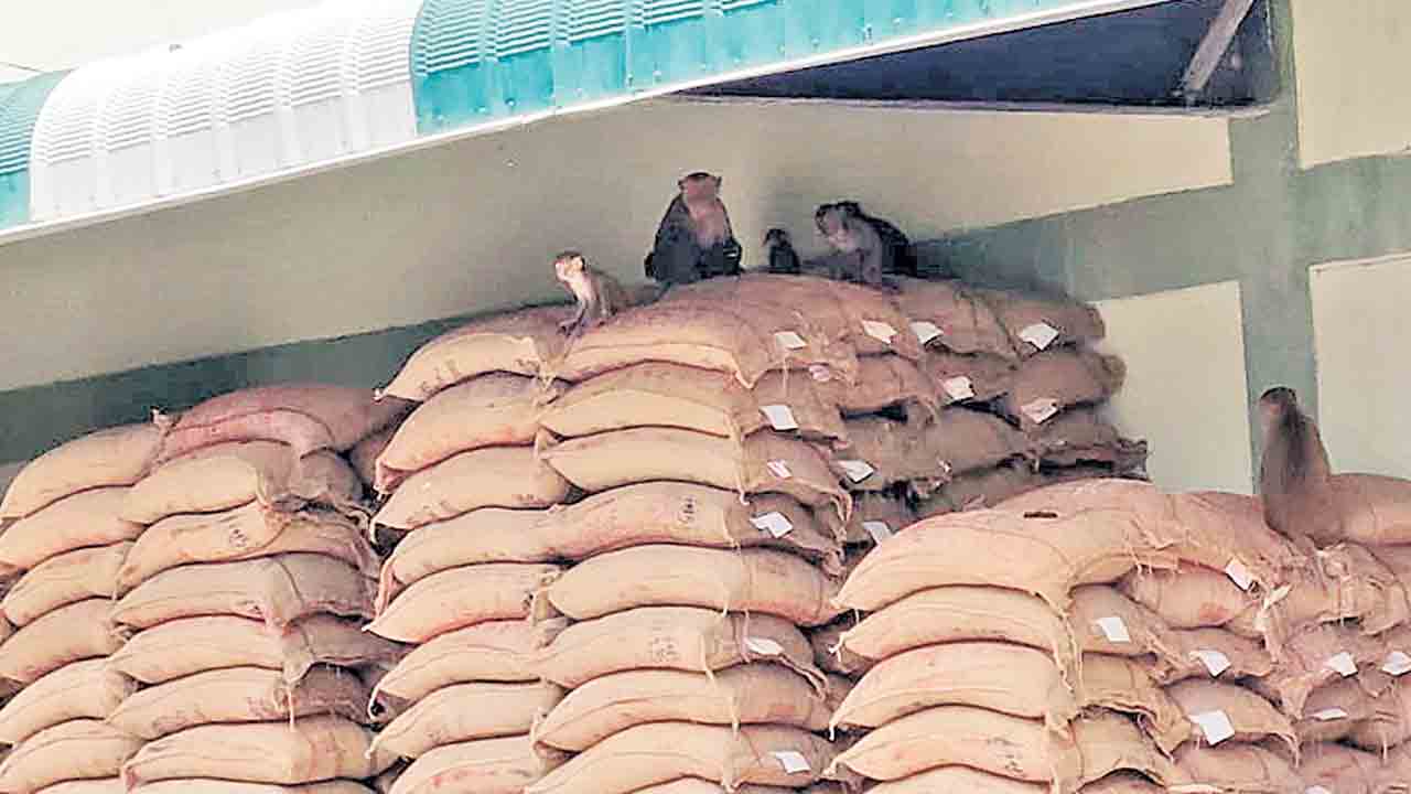 విజయదుర్గ రైస్ మిల్లులోనివి రేషన్ బియ్యం కాదు : డిటిసిఎస్ జ్యోతి