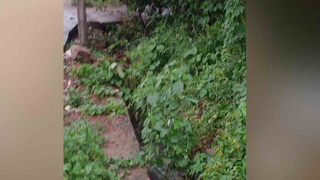Rayapole Mandal2