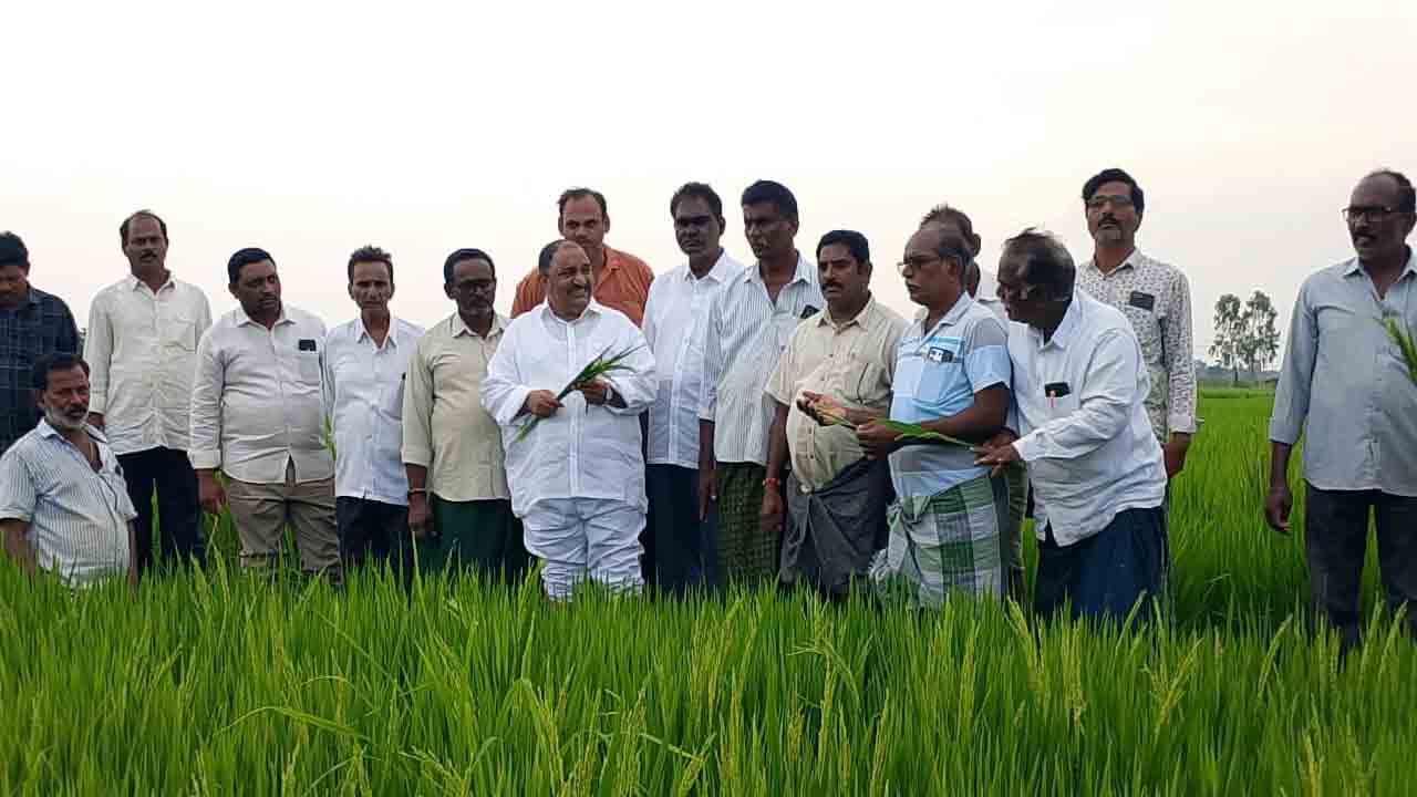 వరి రైతులకు న్యాయం చేయాలి