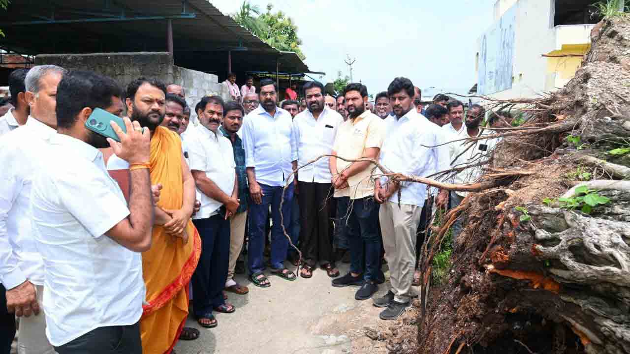 ఐనవోలులో కూలిన శివాల మర్రి.. పరిశీలించిన ఎమ్మెల్యే నాగరాజు