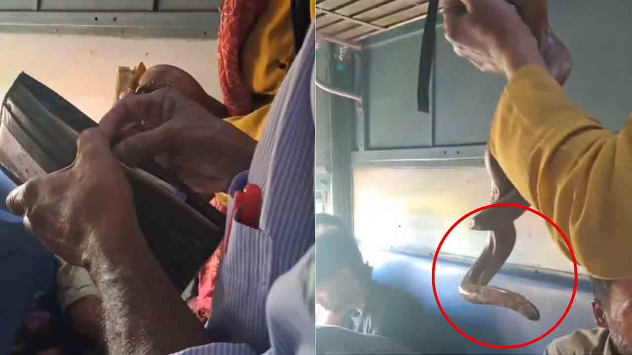 Snake begger | పామును చూపి బెదిరిస్తూ రైల్లో ఓ వ్యక్తి భిక్షాటన.. Video