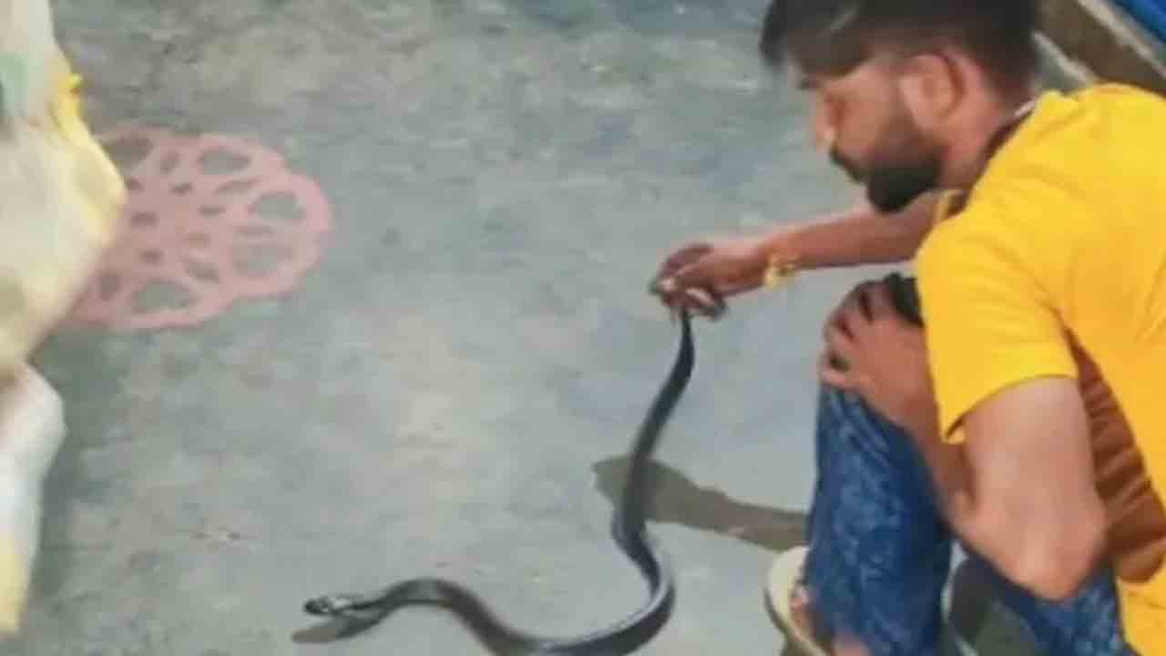 Snakebite | పక్కింట్లో పామును పట్టి మెడలో వేసుకున్న యువకుడు.. ఆ తర్వాత ఘోరం ..Videos