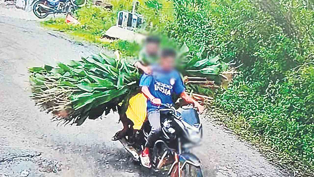 యూరియా బస్తా చోరీ