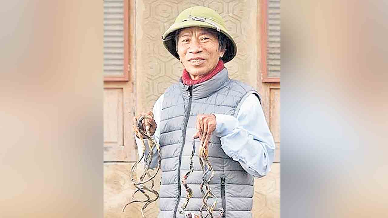 6 మీటర్ల పొడవైన గోర్లు!